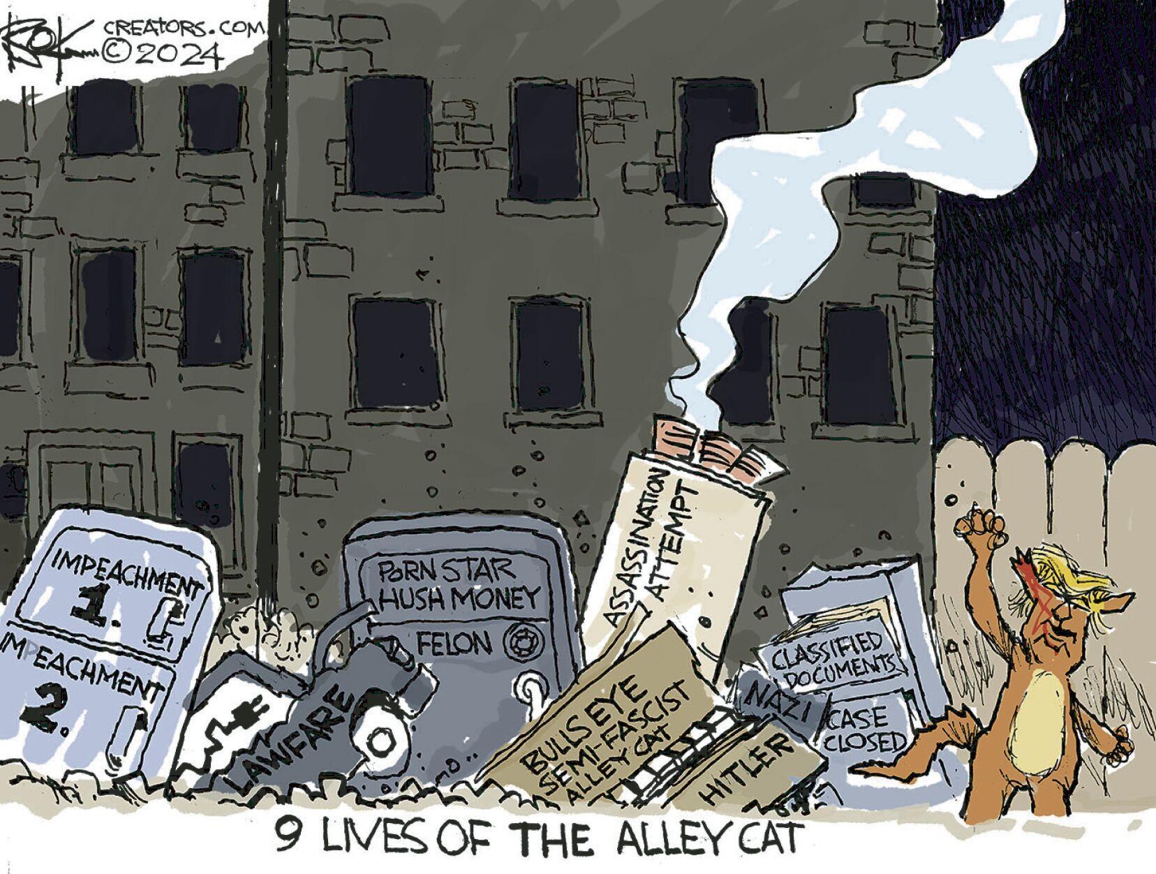 9 lives of the alley cat